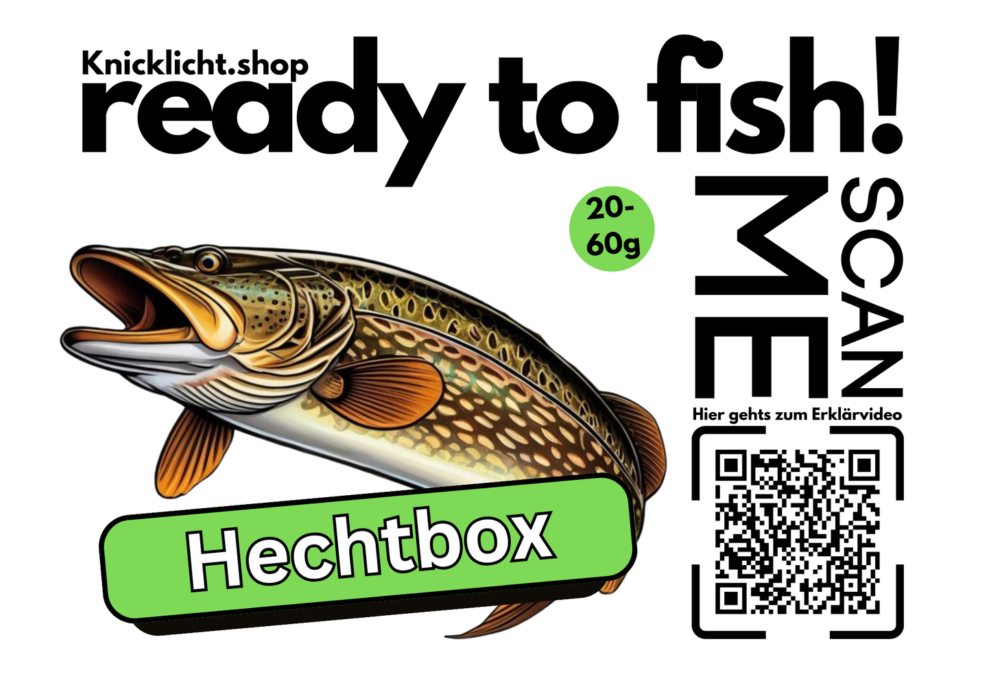 Hechtbox 10-40g - Knicklicht GmbH