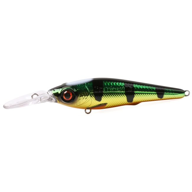 Angelkurs Barsch mit der Spinnrute 3h pro Person all inclusive